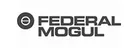 Federal Mogul